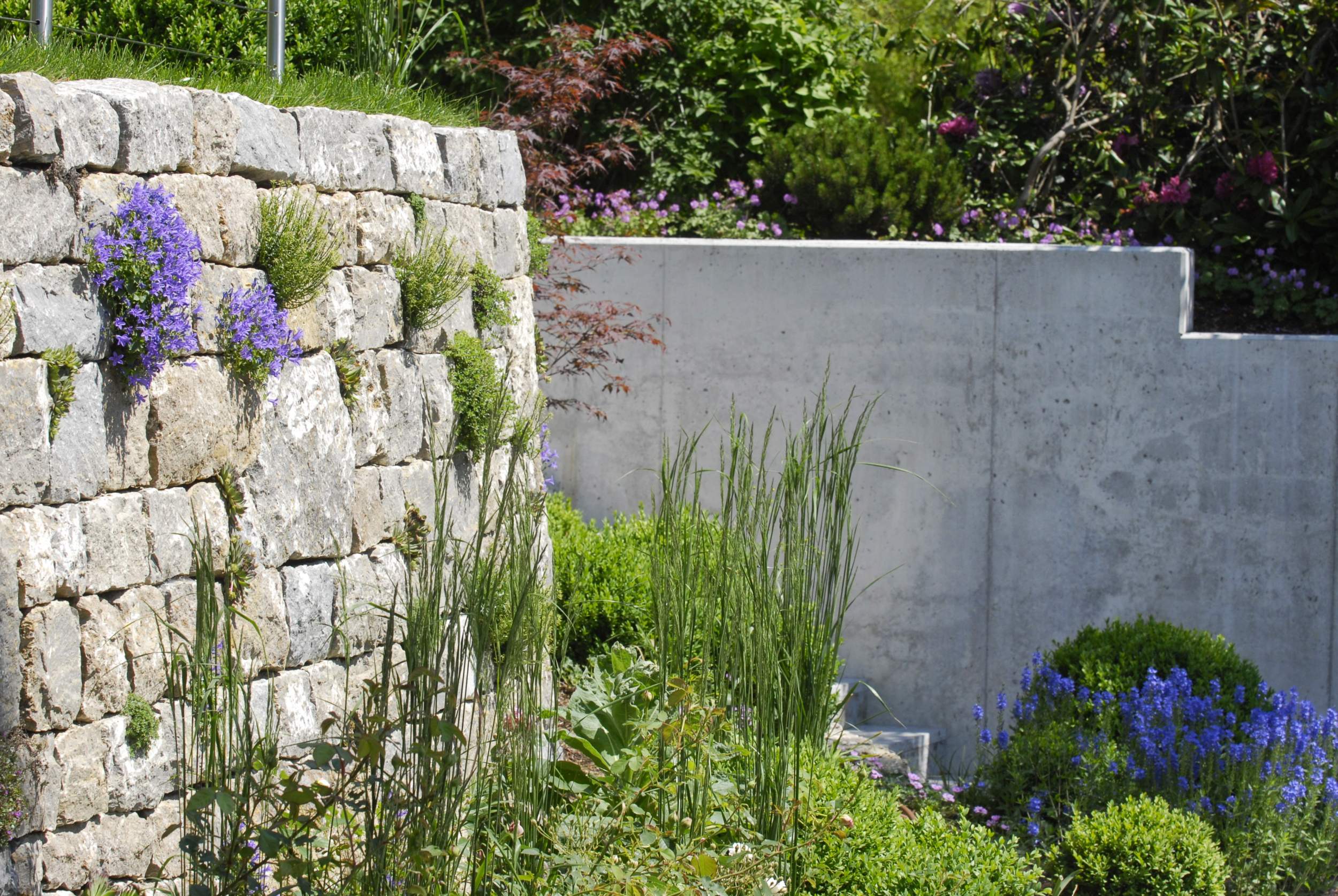 Referenzen › Frank Dahl Lebensraum Garten